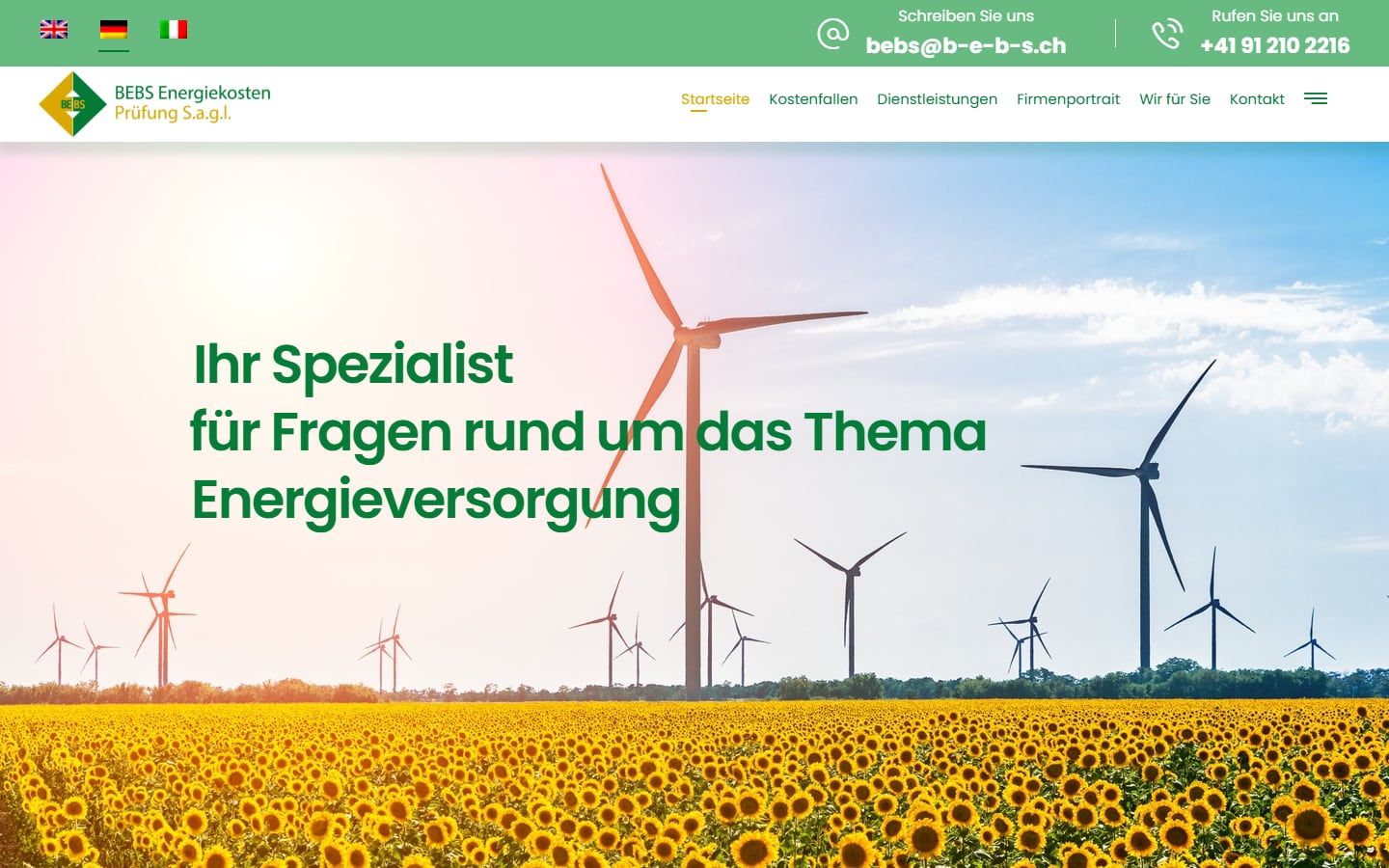 Screenshot der Startseite von BEBS Energiekosten Prüfung