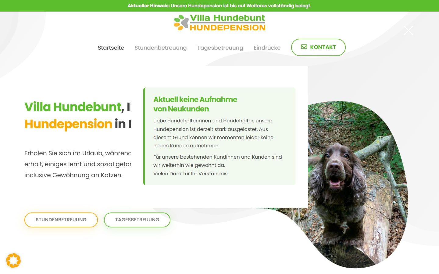 Screenshot der Startseite von Villa Hundebunt